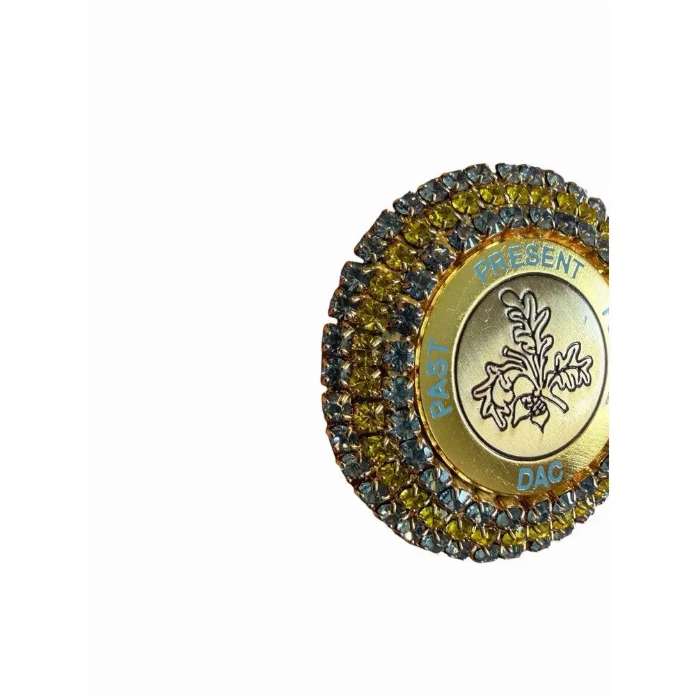 Rare Daughters Of The American Colonists DAC Past Present Future Brooch Pin